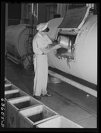 Adding salt to butter in churn. Portage, Wisconsin. Sourced from the Library of Congress.