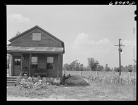 House in  section, Detroit, Michigan. Concrete wall in background is one half mile long, and serves to separate Negro section from white subdivision. Sourced from the Library of Congress.