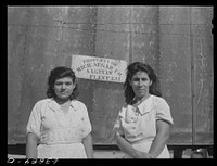 Wives of sugar beet workers. Saginaw County, Michigan. Sourced from the Library of Congress.