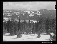 Lewis and Clark County, Montana. Helena National Forest. Sourced from the Library of Congress.