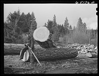 [Untitled photo, possibly related to: Kalispell, Montana. Flathead valley special area project. Sawmill worker at FSA (Farm Security Administration) cooperative sawmill]. Sourced from the Library of Congress.