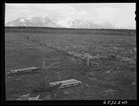 Flathead special area project, Montana. Seeded land, land plowed for the first time this year, and in the background, land yet to be cleared. On farm of Lawrence Thompson, FSA (Farm Security Administration) borrower. Sourced from the Library of Congress.