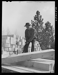 [Untitled photo, possibly related to: Kalispell, Montana. Flathead Valley special area project. Stacking railroad ties at cooperative sawmill. This sawmill is operated by the FSA (Farm Security Administration) borrowers who settled here after leaving the drought areas of eastern Montana and the Dakotas]. Sourced from the Library of Congress.