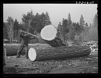 Kalispell, Montana. Flathead valley special area project. Sawmill worker at FSA (Farm Security Administration) cooperative sawmill. Sourced from the Library of Congress.