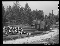 Kalispell, Montana. Flathead valley special area project. WPA (Work Projects Administration) privies built at FSA (Farm Security Administration) cooperative sawmill. Sourced from the Library of Congress.