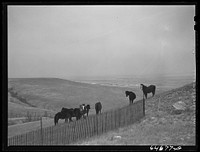Corson County, South Dakota. Grazing country. Sourced from the Library of Congress.
