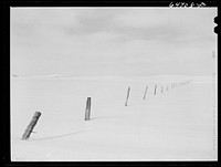 Stark County, North Dakota. Barbed wire fence poles. Sourced from the Library of Congress.