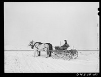 Morton County, North Dakota. Farm boy going after mail. Sourced from the Library of Congress.