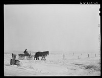 Morton County, North Dakota. Farm boy bring home the morning mail. Sourced from the Library of Congress.