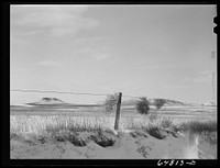 Adams County, North Dakota. Barbed wire, buttes and tumbleweed. Sourced from the Library of Congress.