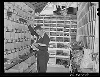 Wisdom, Montana. Len Smith in the stockroom of the Basin Mercantile Company. They have an extremely large stock of tractor and haying machine parts. Sourced from the Library of Congress.