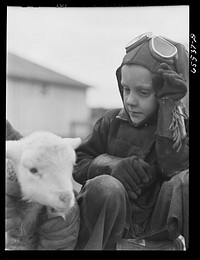 [Untitled photo, possibly related to: Ravalli County, Montana. Branding, tail cutting, docking, and ear slitting operations on Clarence Goff's sheep farm]. Sourced from the Library of Congress.