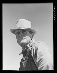 [Untitled photo, possibly related to: Beaverhead County, Montana. Lambing hand on sheep farm]. Sourced from the Library of Congress.