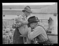 Ravalli County, Montana. Castrating young lambs. Sourced from the Library of Congress.