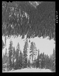 [Untitled photo, possibly related to: Arapahoe National Forest]. Sourced from the Library of Congress.
