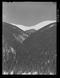 Arapahoe National Forest. Sourced from the Library of Congress.