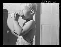 [Untitled photo, possibly related to: Lancaster County, Nebraska. Farm boy drinking milk]. Sourced from the Library of Congress.