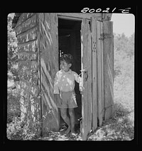 Little John Fredrick stands on the outside "where the flies ain't so bad." John Fredrick's privy, Saint Mary's County, Maryland. Sourced from the Library of Congress.