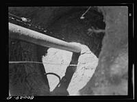 Workers have shoveled earth over cement slab and now are watering down fill to make it settle. John Fredrick well project, Charles County, Maryland, near La Plata, Maryland. Sourced from the Library of Congress.