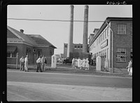 Employees reporting for work at the Phillips Packing Company. Cambridge, Maryland. Sourced from the Library of Congress.