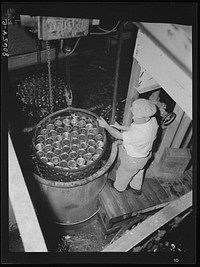 After cooking sealed cans are cooled in pool of chilled water before labeling. Phillips Packing Company, Cambridge, Maryland. Sourced from the Library of Congress.