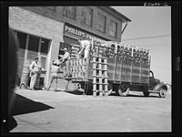 [Untitled photo, possibly related to: Trucks unload tomatoes directly into the canning room. Phillips Packing Company, Cambridge, Maryland]. Sourced from the Library of Congress.