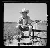 [Untitled photo, possibly related to: This truck is loaded and ready for the trip to the packing plant. Dorchester County, Maryland]. Sourced from the Library of Congress.