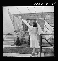 Plenty of room to hang out washing in the FHA (Federal Housing Administration) low income housing project at Holyoke, Massachusetts. Sourced from the Library of Congress.