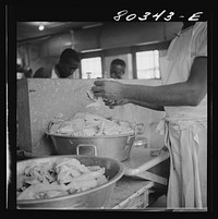 [Untitled photo, possibly related to: Craig Field cooks didn't have to do much washing of these well-dressed FSA (Farm Security Administration) "Food for Defense" chickens from Coffee County, Alabama. Craig Field Southeastern Air Training Center, Selma, Alabama]. Sourced from the Library of Congress.