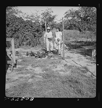 [Untitled photo, possibly related to: James Drigger feeds his chickens. Coffee County, Alabama (FSA (Farm Security Administration) "Food for Defense" program")]. Sourced from the Library of Congress.