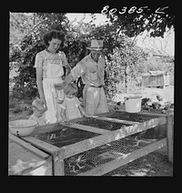 [Untitled photo, possibly related to: James F. Drigger and family tending their chickens purchased through the "Food for Defense" program. Coffee County, Alabama]. Sourced from the Library of Congress.