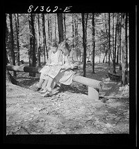 Folks from the cities came up on Sunday to view the fall foliage and read the Sunday paper. Mohawk Trail Picnic Park, Massachusetts. Sourced from the Library of Congress.