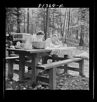 Folks from the cities camp up on Mohawk Trail on Sunday to view the fall foliage and read the Sunday paper. Mohawk Trail picnic park, Massachusetts. Sourced from the Library of Congress.