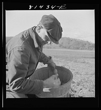[Untitled photo, possibly related to: Hired man on the Daxtater dairy farm near Little Falls, New York]. Sourced from the Library of Congress.
