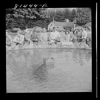 [Untitled photo, possibly related to: Wishing well: throw your penny in the box and you get your wish. At Mohawk Trail, Massachusetts]. Sourced from the Library of Congress.