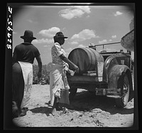 Bridgeton, New Jersey. Seabrook Farm. Trucks bringing drinking water to the fields for the pickers. Sourced from the Library of Congress.