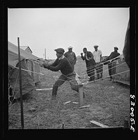 [Untitled photo, possibly related to: Bridgeton, New Jersey. FSA (Farm Security Administration) agricultural workers' camp. Setting up tents]. Sourced from the Library of Congress.