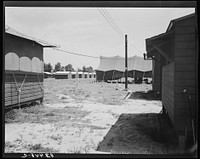 Bridgeton, New Jersey. FSA (Farm Security Administration) agricultural workers' camp.. Sourced from the Library of Congress.