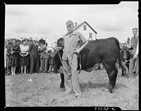 Presque Isle, Maine. Annual agricultural show at the state experimental farm. Prizewinning baby beef which was fattened by a son of a FSA (Farm Security Administration) client. Sourced from the Library of Congress.