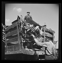 [Untitled photo, possibly related to: Washington, D.C. Scrap salvage campaign, Victory Program. Unloading metal scrap from a truck at a wholesale junkyard]. Sourced from the Library of Congress.