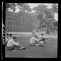 [Untitled photo, possibly related to: Washington, D.C. Government workers lunching and resting in Washington Monument park outside the U.S. Department of Agriculture]. Sourced from the Library of Congress.