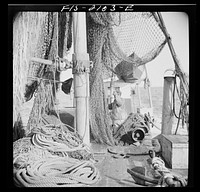Provincetown, Massachusetts. Aboard the Frances and Marion, a Portuguese drag trawler, fishing off Cape Cod. Homeward bound from the banks, the drag nets are hoisted aloft to dry. Sourced from the Library of Congress.