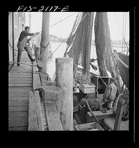 [Untitled photo, possibly related to: Provincetown, Massachusetts. Hoisting fish from the ice hold of a Portuguese trawler to the packing house dock]. Sourced from the Library of Congress.