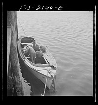 Provincetown, Massachusetts. A Portuguese dory fisherman bound for his anchorage after delivering his catch to the fishpacking plant. Sourced from the Library of Congress.