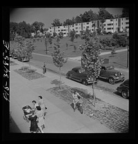 Greenbelt, Maryland. Federal housing project. View from the shopping center roof. Sourced from the Library of Congress.