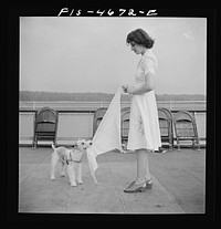 [Untitled photo, possibly related to: Washington, D.C. Applying a splint to a "broken" leg as part of a course in first aid, aboard a Potomac River boat]. Sourced from the Library of Congress.