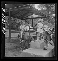 [Untitled photo, possibly related to: New York, New York. Children lined up for their turn at pony rides in Central Park on Sunday]. Sourced from the Library of Congress.