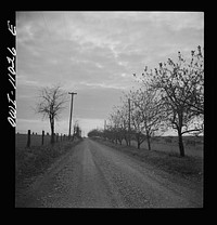 Lancaster County, Pennsylvania. Children on their way home from school on a farm road. Sourced from the Library of Congress.