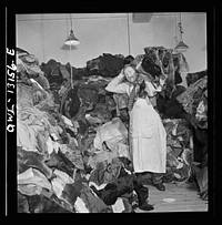 New York, New York. The War Emergency Board of the fur industry formed a fur vest project. Various fur factories donate the services of their employees one day a week to make fur-lined vests for the merchant marine.  The fur is all from voluntary donations from the public. Fur coats being moved from the storeroom to the workroom. Sourced from the Library of Congress.