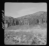 Penasco, New Mexico. Crowds gathering at the dedication ceremony of the new building for the clinic operated by the Taos County cooperative health association. Sourced from the Library of Congress.